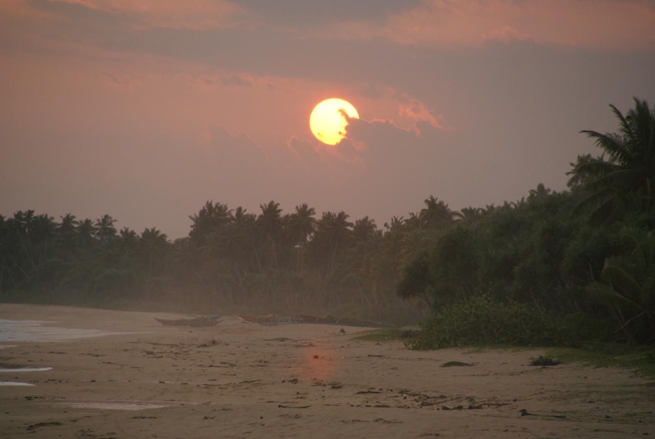 Lanka Beach Grand Villa Rekawa 外观 照片