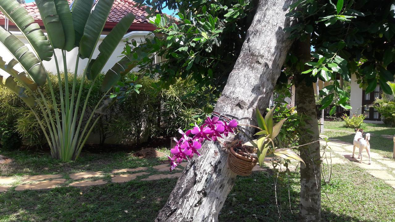 Lanka Beach Grand Villa Rekawa 外观 照片